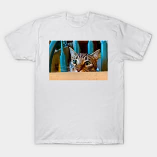 Cat Peeking Over Kitchen Table T-Shirt